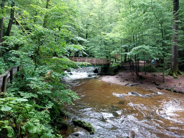 Wandern in der mystischen Klamm