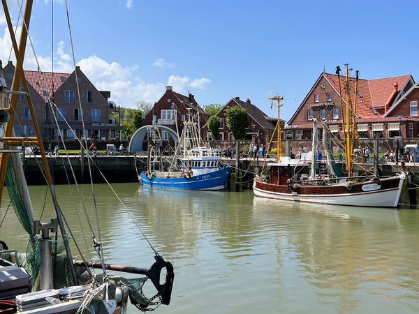 Fangfrischen Fisch direkt vom Kutter