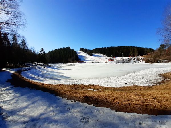 Gemütliches Café in der Natur