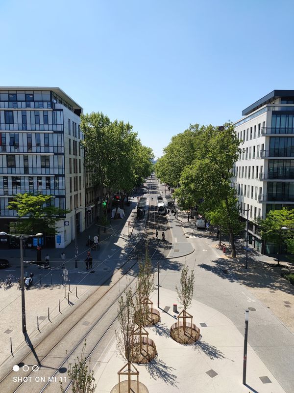 Geheimer Garten auf dem Bahnhof