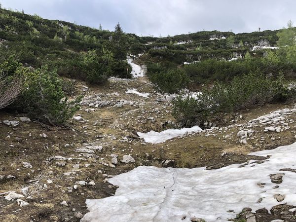 Einzigartiges Wildnisgebiet erkunden