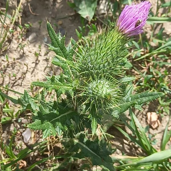 Naturerlebnis im Stadtwald