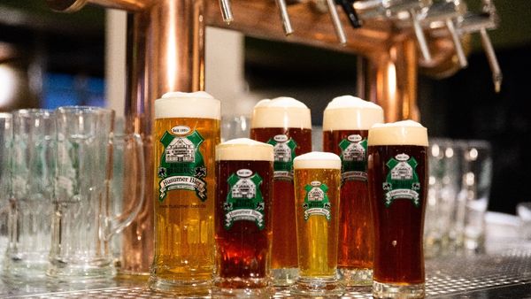 Koste Husumer Bier direkt vom Braumeister