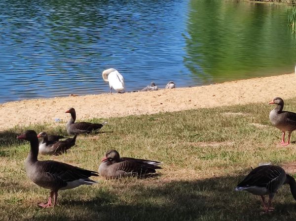 Entspannung und Aktivitäten am Wasser