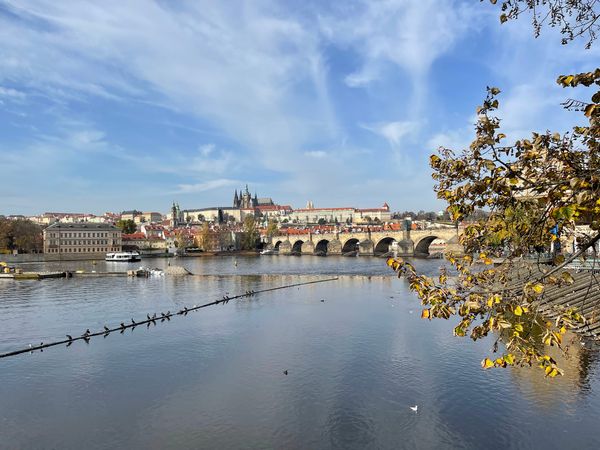 Bestaunt das lebendige Treiben auf der historischen Karlsbrücke