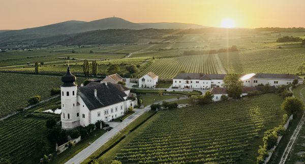 Weinverkostung im historischen Weingut