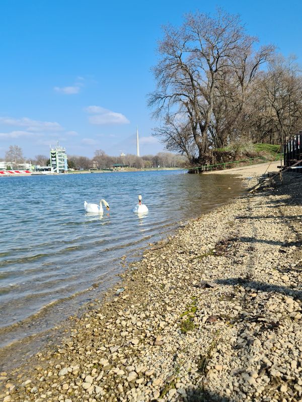 Belgrads Strandparadies mitten in der Stadt