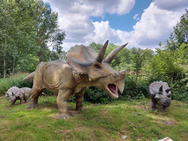 Reise in die Welt der Dinos