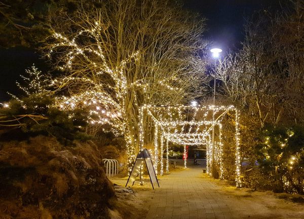 Elfenpark für Fantasievolle