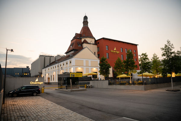 Erlebe echte Wiener Braukunst