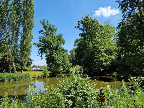 Grüne Oase für Picknickfreunde