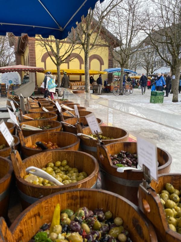 Frische Ernte direkt vom Feld – Bauernmarktbesuch