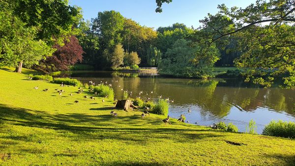 Blühende Oase inmitten der Stadt