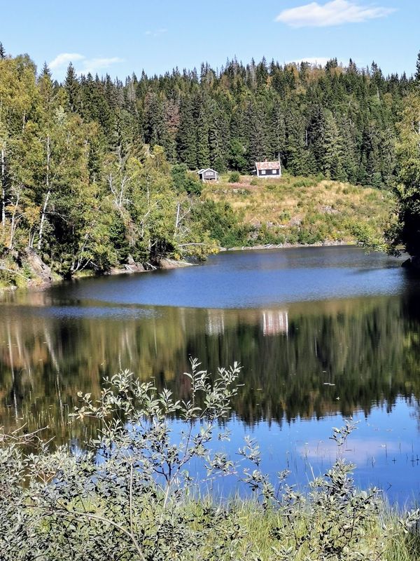 Natur pur nur wenige Schritte entfernt