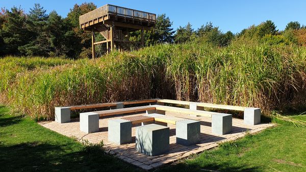 Verirre dich im grünen Dschungel des Labyrinths