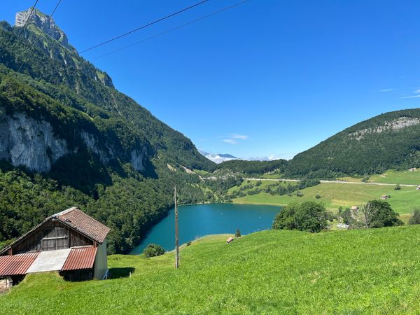 Idyllisches Badeerlebnis in der Natur