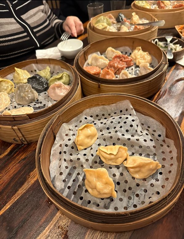 Vielfältige Dumplings und asiatische Snacks