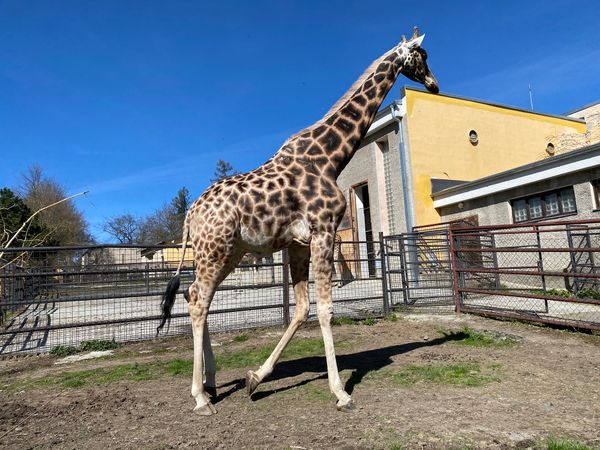 Tierische Abenteuer für die ganze Familie