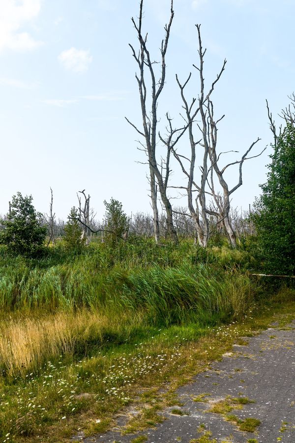 Einzigartige Natur im Nationalpark