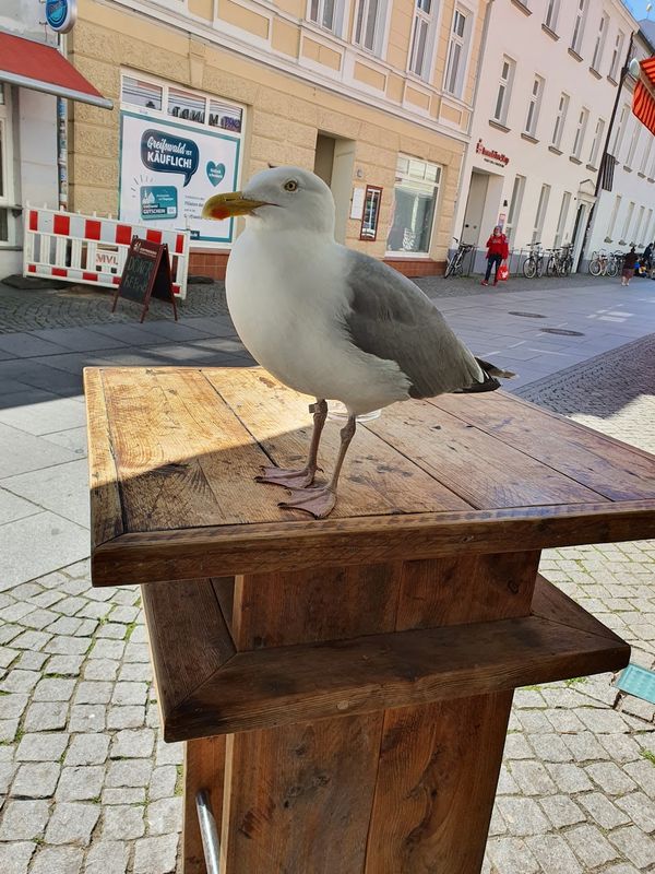 Frischer Fisch, preisgekrönt