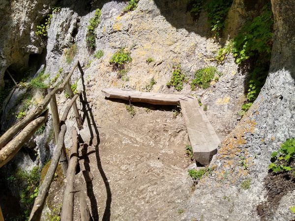 Mystische Brücke in der Natur