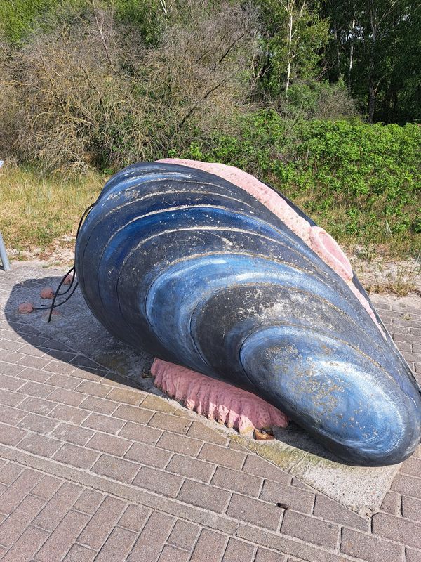 Entdecke die Geheimnisse der Ostsee