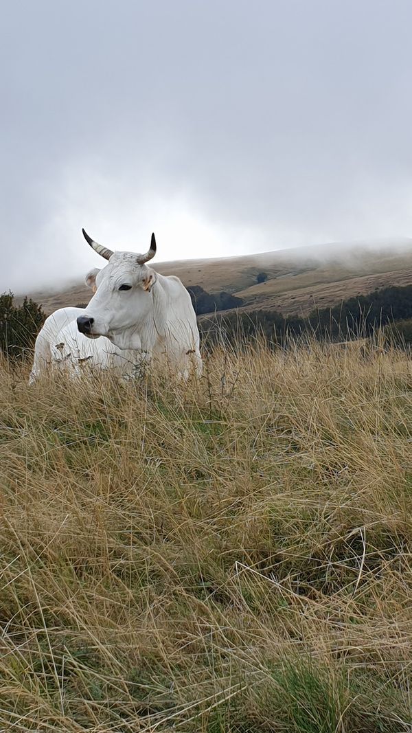 Wandern in den Höhen des Pratomagno