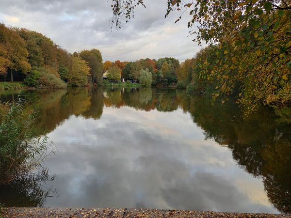 Idylle pur am Stadtrand