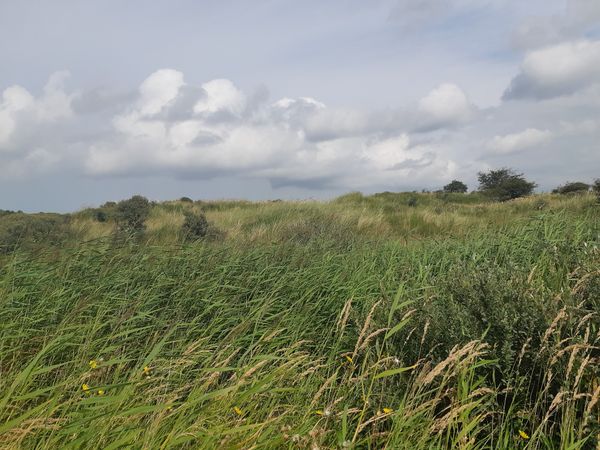 Naturerlebnis in unberührter Landschaft