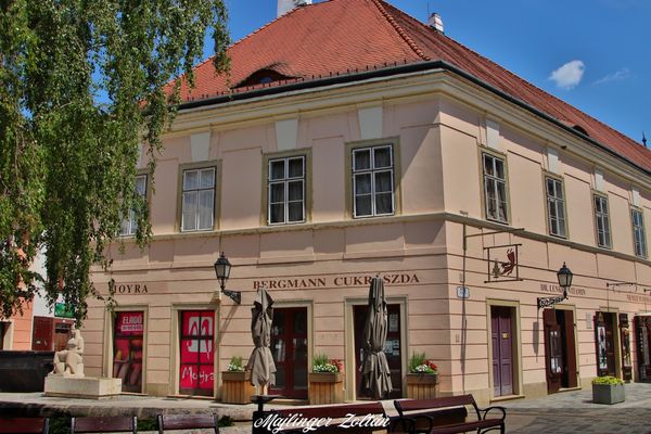 Tauche ein in die Kunstgeschichte im Esterházy-Palast
