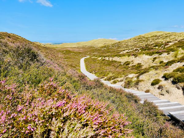Naturwunder im Norden Sylts