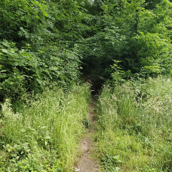 Römische Geschichte hautnah erleben