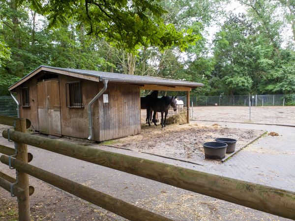 Abenteuer und Spaß für junge Entdecker