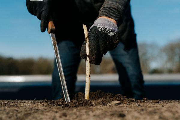 Landhausküche mit Produkten aus eigener Herstellung