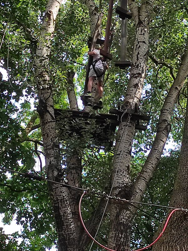 Adrenalin im Hochseilgarten