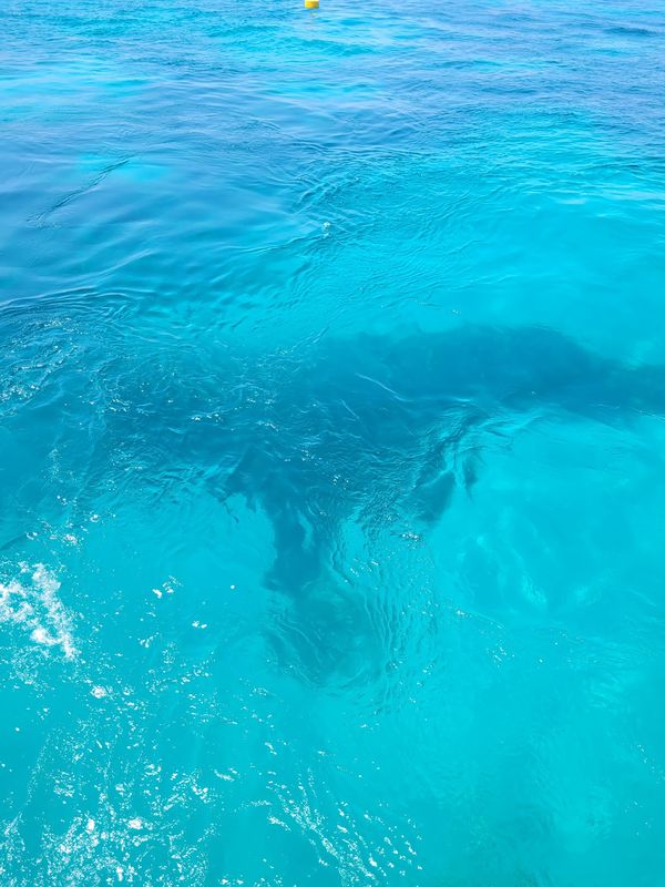 Schwimmen im verborgenen Paradies