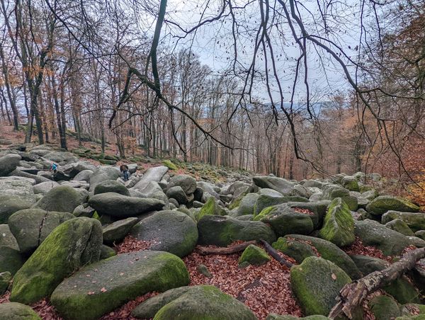 Klettern im mystischen Felsenmeer
