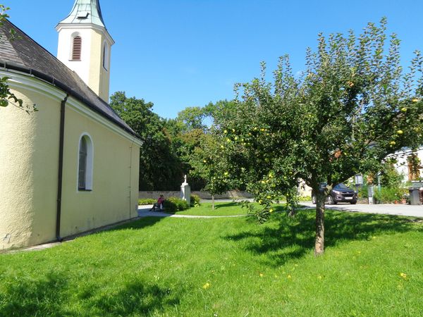 Idyllisches Picknick am Picknickplatz Korneuburg Seebarn