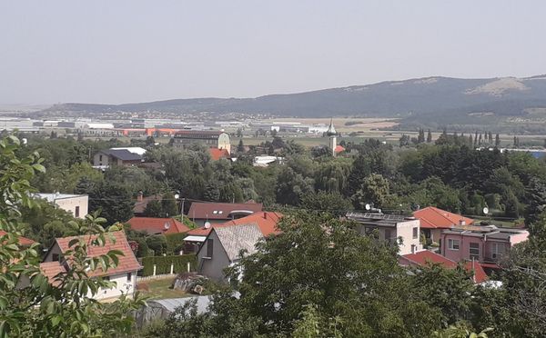 Grüne Oase in der Stadt