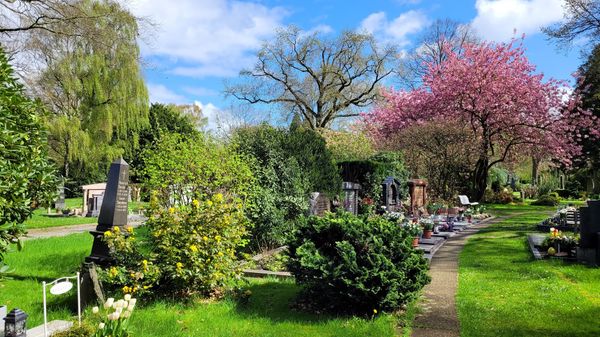 Frühlingsspaziergang mit Geschichte