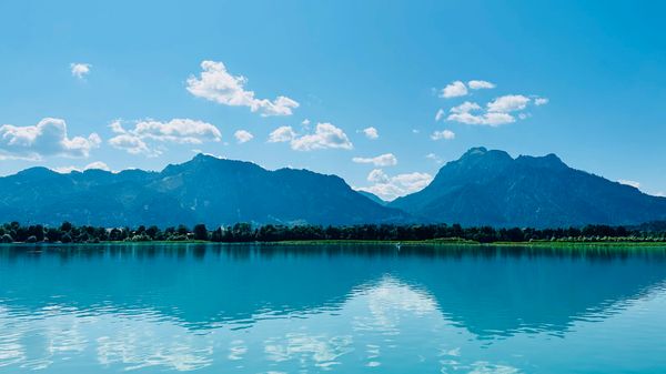 Natur pur am Ufer des Forggensees