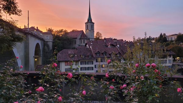 Erfrischendes Bad in der Aare