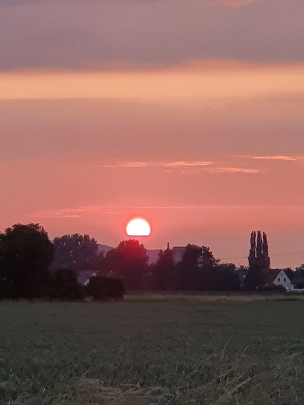 Sommer, Sonne, Badespaß