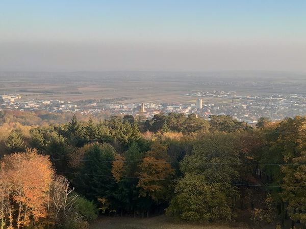 Lernreiche Naturerfahrung für Groß und Klein