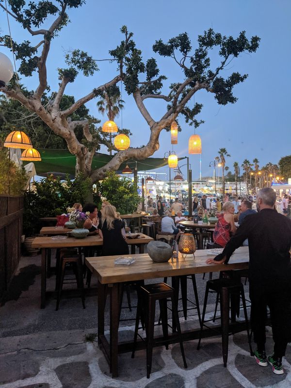 Cocktails mit Hafenblick