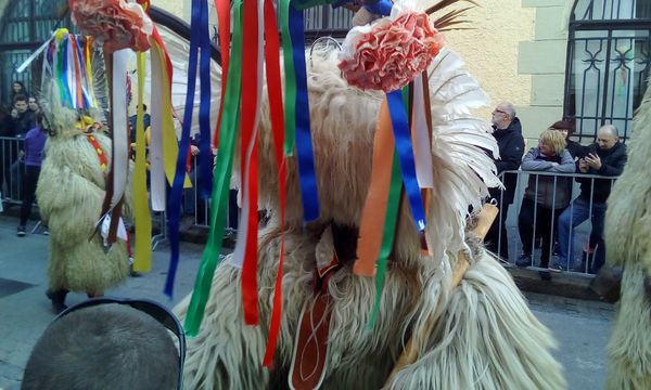 Buntes UNESCO-Karnevalsfest erleben