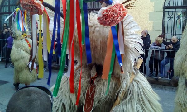 Buntes UNESCO-Karnevalsfest erleben