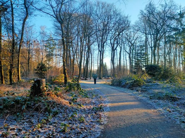 Waldspaziergänge mit kulturellem Touch