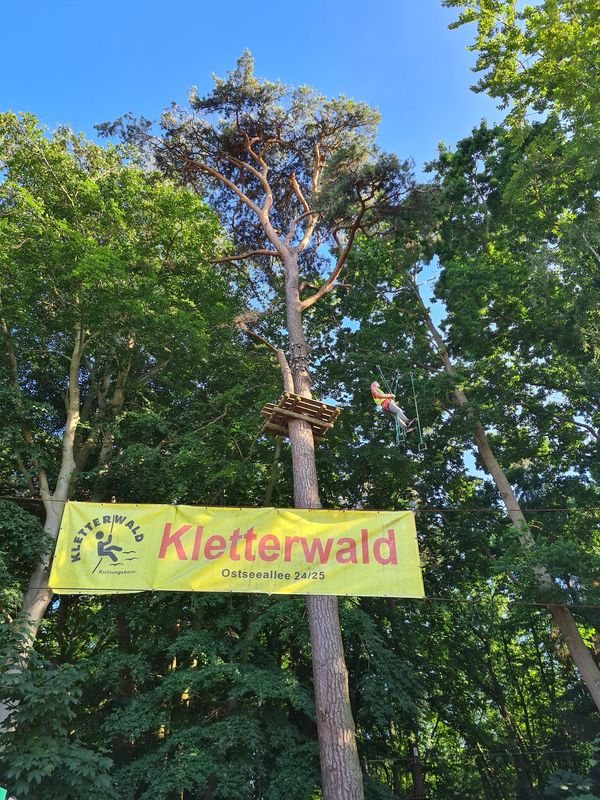 Abenteuer hoch in den Bäumen