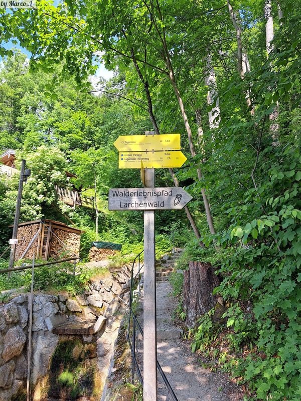 Abenteuer im Wald für Groß und Klein